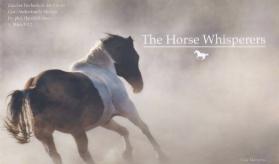 The Horse Whisperers
