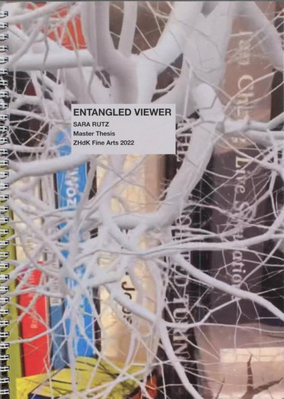 Entangled viewer