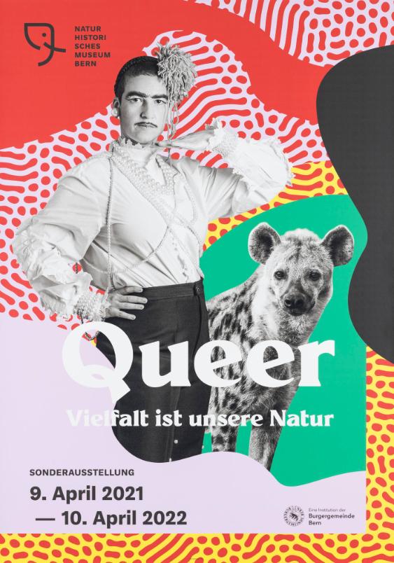 Naturhistorisches Museum Bern - Queer - Vielfalt ist unsere Natur - Sonderausstellung