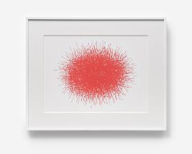 [Chromosome: Framboise]