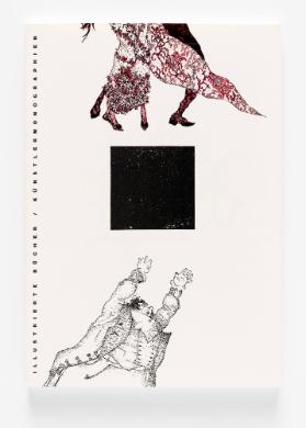 Illustrierte Bücher / Künstlermonographien
