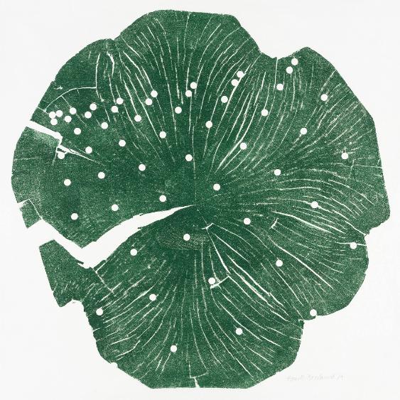 [Maschineller Holzschnitt – O.T. (Leichte Progression)]