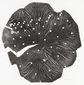 [Maschineller Holzschnitt – O.T. (Leichte Progression)]