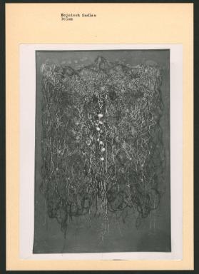 Wojciech Sadley, Polen