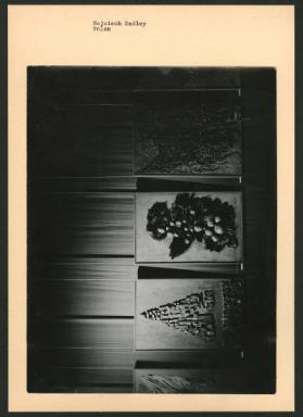 Wojciech Sadley, Polen