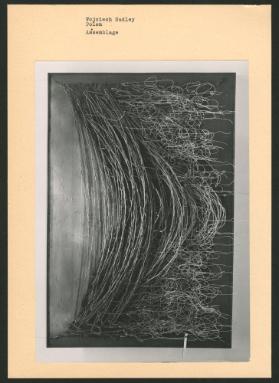 Wojciech Sadley, Polen, Assemblage