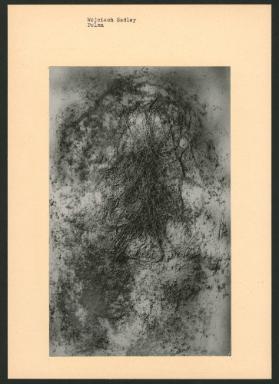 Wojciech Sadley, Polen