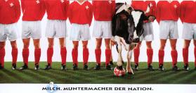 Milch. Muntermacher der Nation.