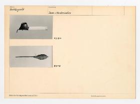 Bildarchiv Kunstgewerbemuseum Zürich