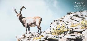 The Vegetarian Lifestyle - Hiltl - since 1898