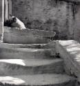 F * F ;Treppe