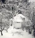 F * F ; Verschneite Hütte im Wald