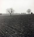 F * F ; Landschaft