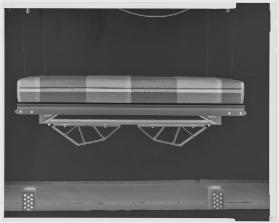 Venom [offizieller Name]