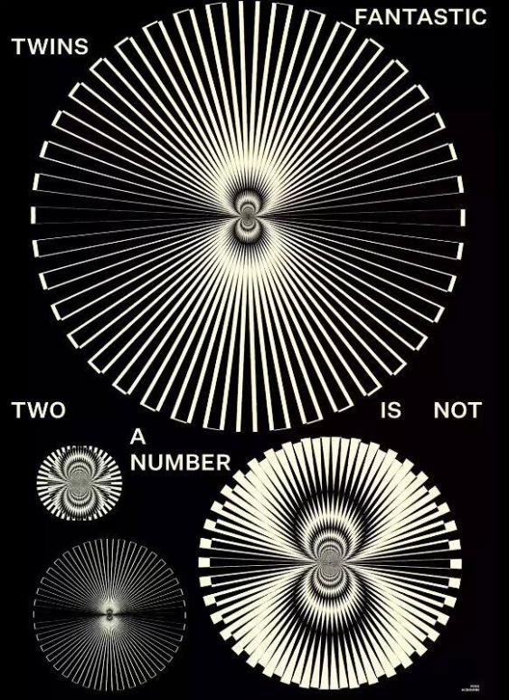 Fantastic Twins - Two Is not a Number