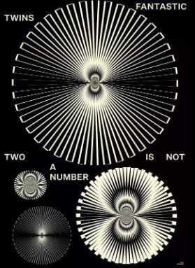 Fantastic Twins - Two Is not a Number