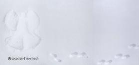 Soccorso d'inverno.ch