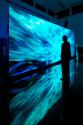 Ausstellung "Jakob Kudsk Steensen: Berl-Berl Eine Live-Simulation" im Museum für Gestaltung Zür…