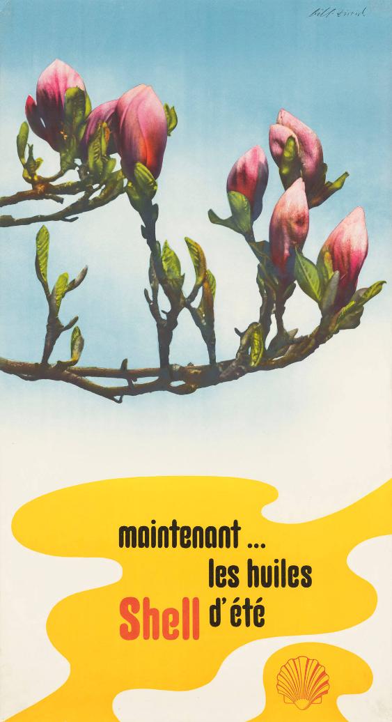 maintenant ... les huiles Shell d'été