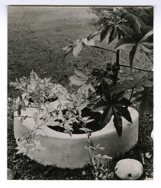 Neue Pflanzengefässe im Zürcher Kunstgewerbemuseum 1952