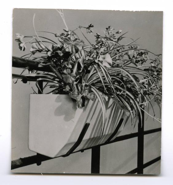 Neue Pflanzengefässe im Zürcher Kunstgewerbemuseum 1952