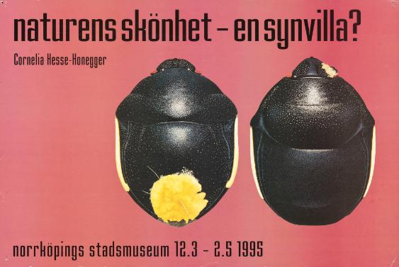 Naturens skönhet - En synvilla? Norrköpings Stadsmuseum