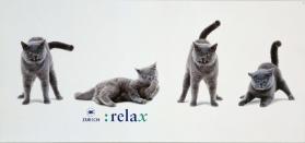 Zürich - relax