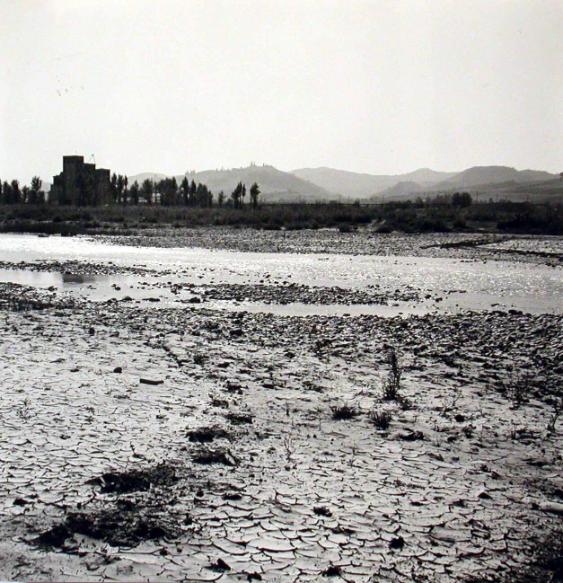 Camargue Landschaft 