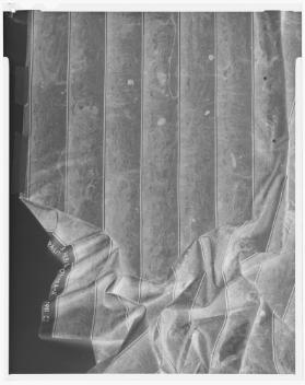 MIRA-LIGNEUS Columna [offizieller Name]