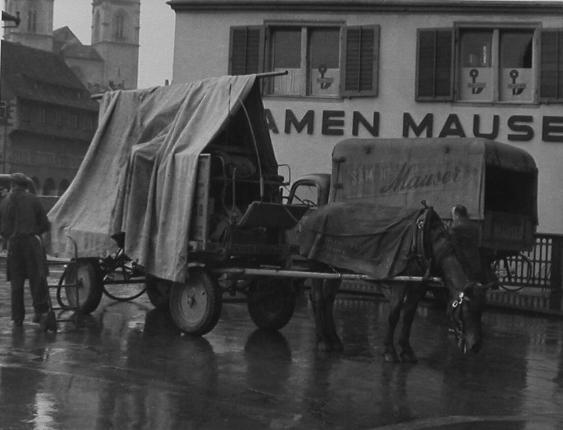 Witterung -  vor dem Samen Mauser in Zürich