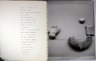 Foto-Buch L (1. Band); Landibuch