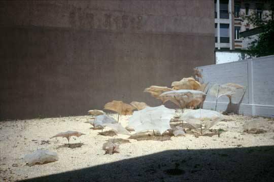 Ingràvidos : Index-Projektion ; Kunsthof