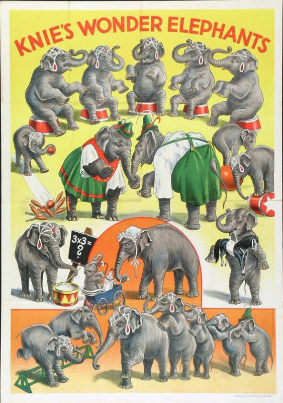 Knie's Wonder Elephants