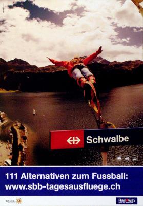 Schwalbe - 111 Alternativen zum Fussball