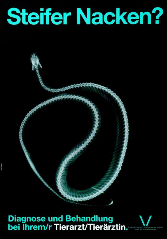Steifer Nacken? Diagnose und Behandlung bei Ihrem/r Tierarzt/Tierärztin. Gesellschaft Schweizer Tierärztinnen und Tierärzte - Société des Vétérinaires Suisses