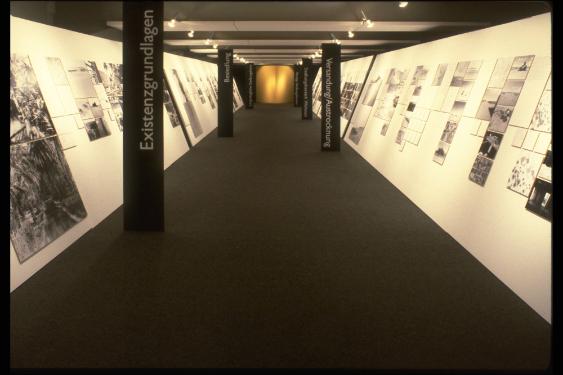 Timimoun ; Ausstellungsgestaltung