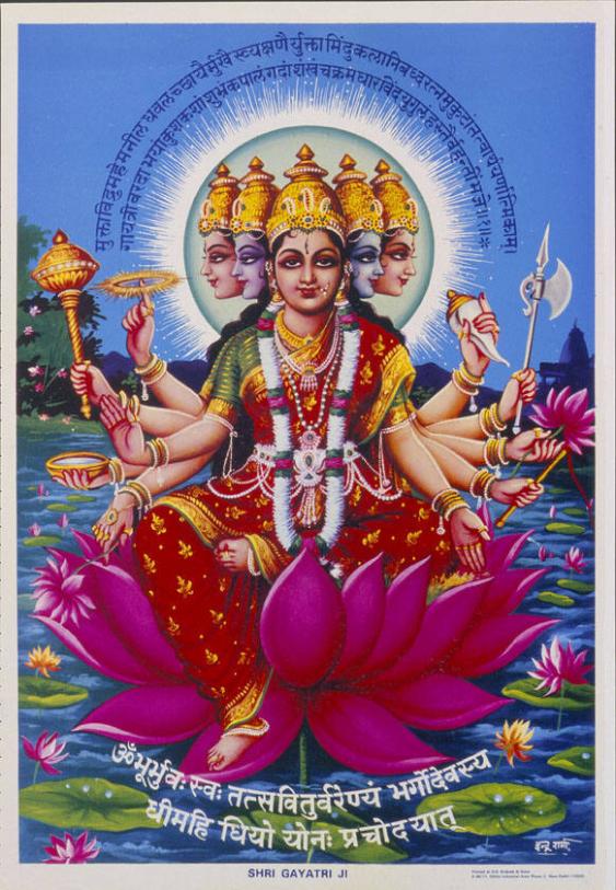 Shri Gayatri Ji - (in indischer Schrift)