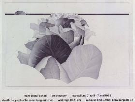 Hans-Dieter Schaal - Zeichnungen - Ausstellung 7.April-7.Mai 1972 (...)