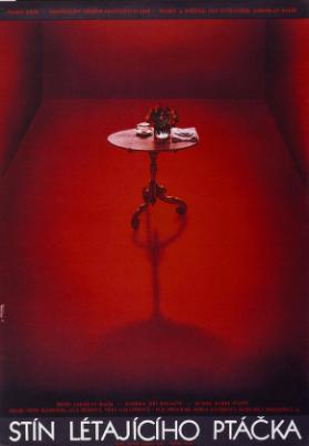 Stín létajícího ptácka