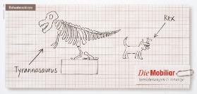 Schadenskizze: Tyrannosaurus - Rex