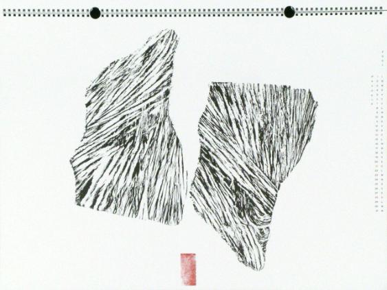 Natura e Scrittura