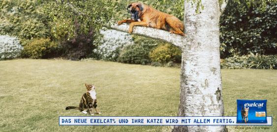 Die neue Exelcat®. Und ihre Katze wird mit allem fertig. - Exelcat gibts neu in der Migros