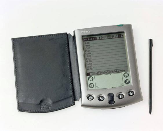 Palm Vx