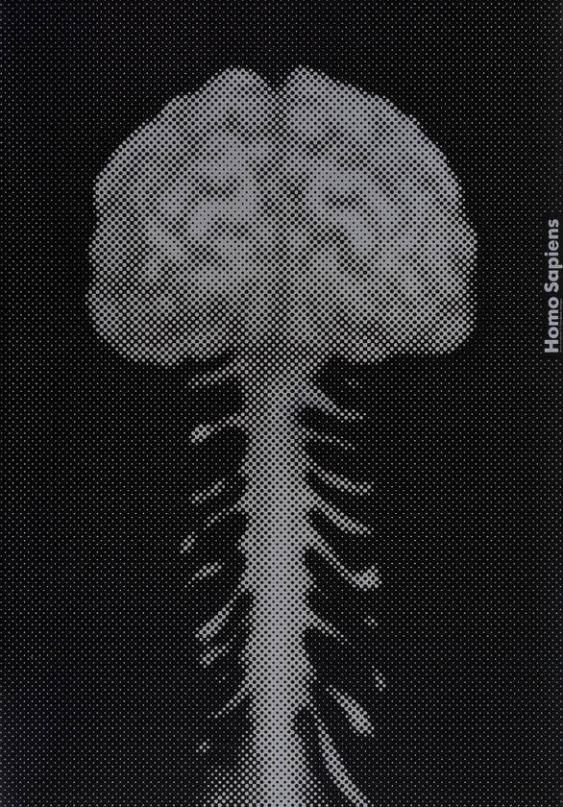 Homo Sapiens
