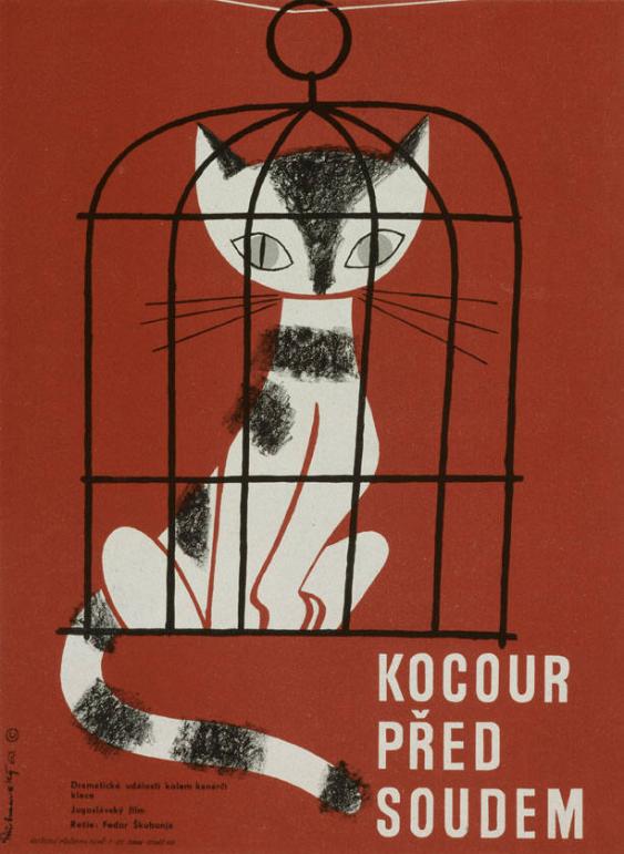 Kocour před soudem - Dramaticke udalosti kolem kanarci klece