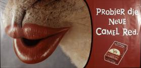 Probier die neue Camel red.