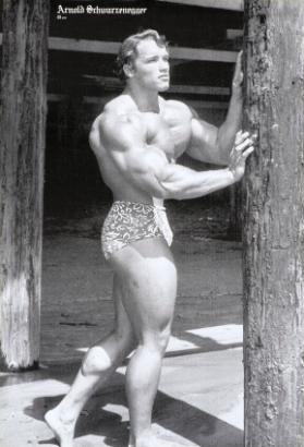 Arnold Schwarzenegger