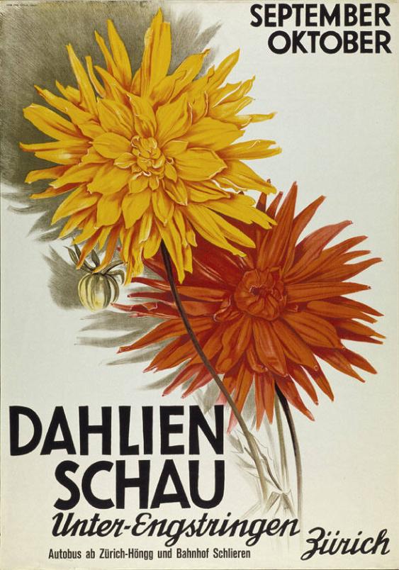 Dahlienschau - Unterengstringen Zürich - September - Oktober