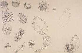 Arbeit von Claudia Tenger