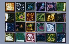 Eine Reise nach Innen